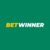 BetWinner