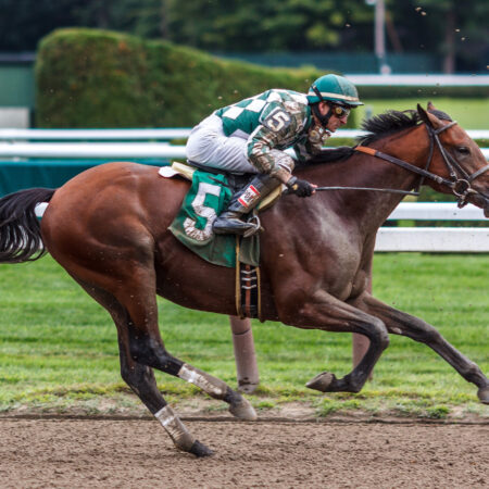Что такое тотализатор скачек?