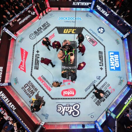 UFC на территории Белого дома: максимальный уровень охраны